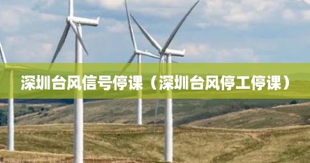 深圳台风信号停课（深圳台风停工停课）