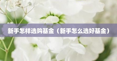 新手怎样选购基金（新手怎么选好基金）
