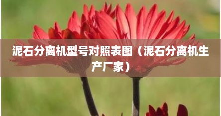 泥石分离机型号对照表图（泥石分离机生产厂家）