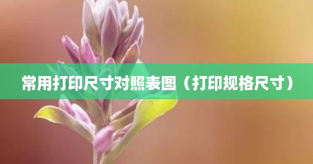 常用打印尺寸对照表图（打印规格尺寸）
