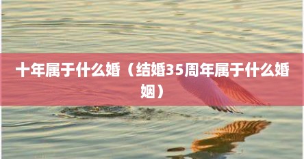 十年属于什么婚（结婚35周年属于什么婚姻）