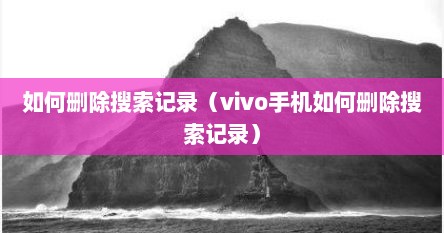如何删除搜索记录（vivo手机如何删除搜索记录）