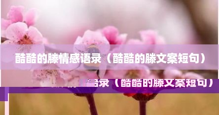 酷酷的滕情感语录（酷酷的滕文案短句）