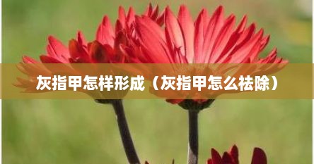 灰指甲怎样形成（灰指甲怎么祛除）