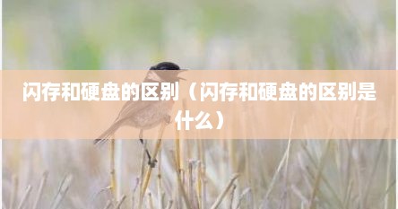 闪存和硬盘的区别（闪存和硬盘的区别是什么）