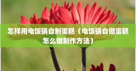怎样用电饭锅自制蛋糕（电饭锅自做蛋糕怎么做制作方法）