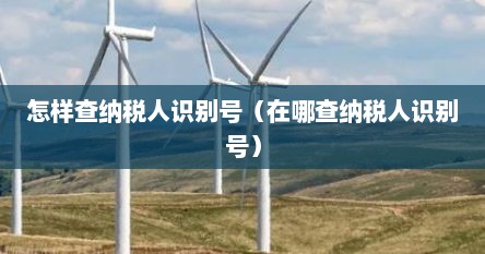 怎样查纳税人识别号（在哪查纳税人识别号）