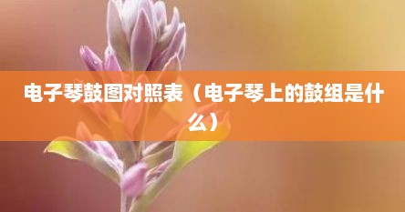 电子琴鼓组教程（电子琴鼓乐谱）