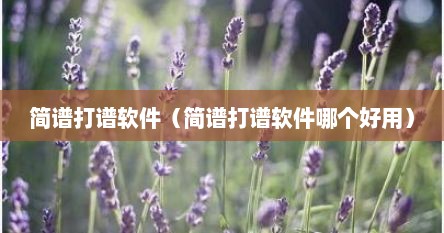 简谱打谱软件（简谱打谱软件哪个好用）