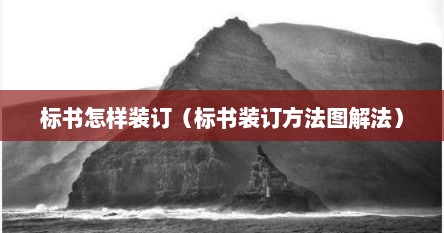 标书怎样装订（标书装订方法图解法）