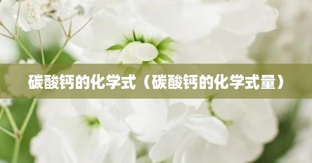 碳酸钙的化学式怎么写（碳酸钙的化学式怎么表示）