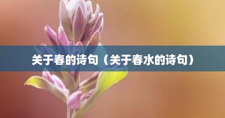 关于春的诗句（关于春水的诗句）