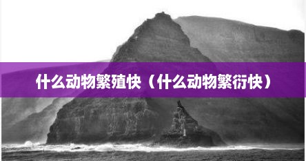 什么动物繁殖快（什么动物繁衍快）