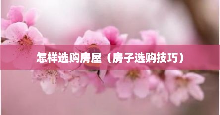 怎样选购房屋（房子选购技巧）
