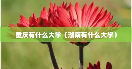 重庆有什么大学（湖南有什么大学）