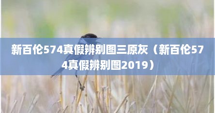 新百伦574真假辨别图三原灰（新百伦574真假辨别图2019）