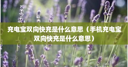 充电宝双向快充是什么意思（手机充电宝双向快充是什么意思）