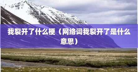 我裂开了什么梗（网络词我裂开了是什么意思）