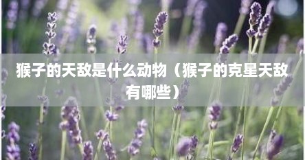 猴子的天敌是什么动物（猴子的克星天敌有哪些）