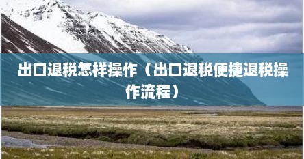 出口退税怎样操作（出口退税便捷退税操作流程）