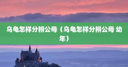 乌龟怎样分辨公母（乌龟怎样分辨公母 幼年）