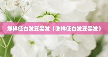 怎样使白发变黑发(咋样使白发变黑发)