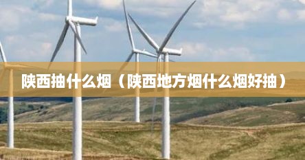陕西抽什么烟（陕西地方烟什么烟好抽）