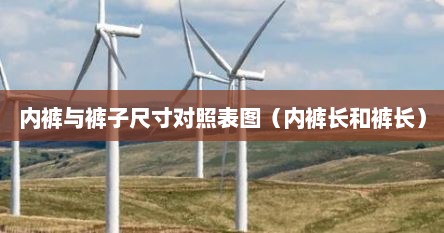 内裤与裤子尺寸对照表图（内裤长和裤长）