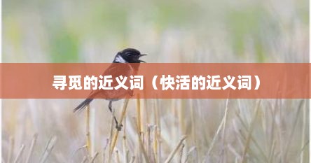 寻觅的近义词（快活的近义词）