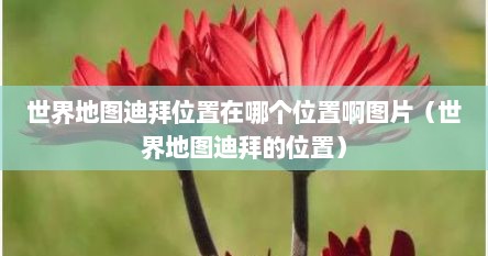 世界地图迪拜位置在哪个位置啊图片（世界地图迪拜的位置）