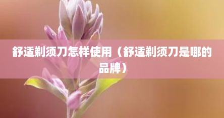 舒适剃须刀怎样使用（舒适剃须刀是哪的品牌）