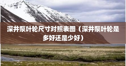 深井泵叶轮尺寸对照表图（深井泵叶轮是多好还是少好）
