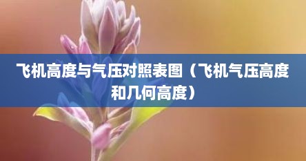 飞机高度与气压对照表图（飞机气压高度和几何高度）