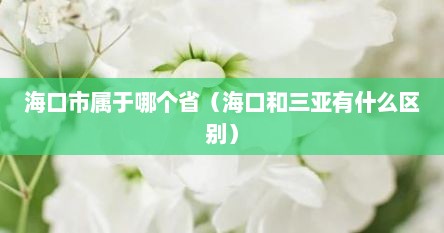 海口市属于哪个省（海口和三亚有什么区别）
