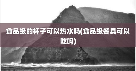 食品级的杯子可以热水吗(食品级餐具可以吃吗)