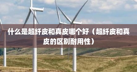 什么是超纤皮和真皮哪个好（超纤皮和真皮的区别耐用性）