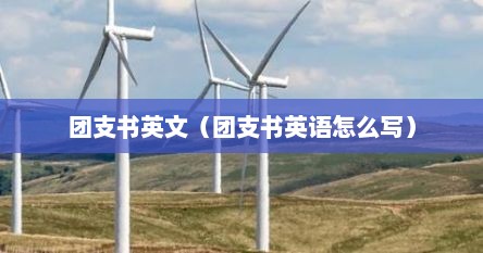 团支书英语怎么说（团支书英文缩写）