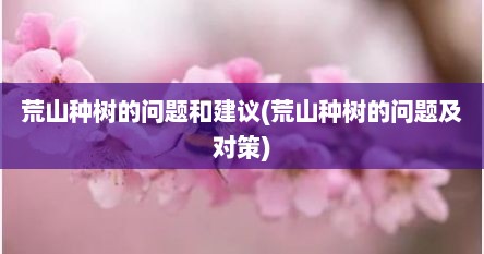 荒山种树的问题和建议(荒山种树的问题及对策)