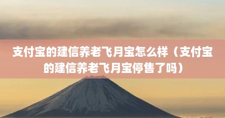 支付宝的建信养老飞月宝怎么样（支付宝的建信养老飞月宝停售了吗）