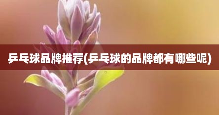 乒乓球品牌推荐(乒乓球的品牌都有哪些呢)
