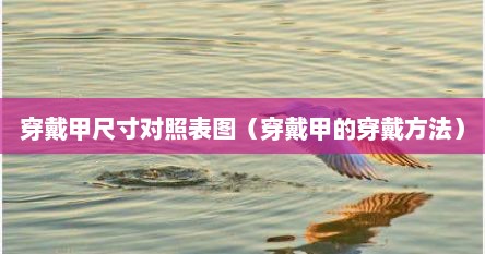 穿戴甲尺寸对照表图（穿戴甲的穿戴方法）