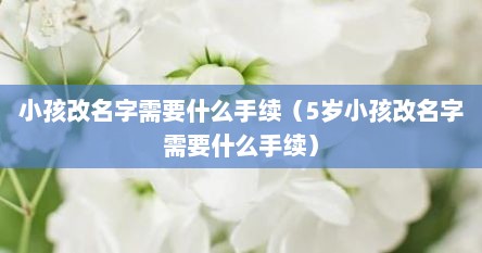 小孩改名字需要什么手续（5岁小孩改名字需要什么手续）