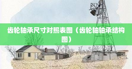 齿轮轴承尺寸对照表图（齿轮轴轴承结构图）
