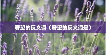 奢望的反义词（奢望的反义词是）