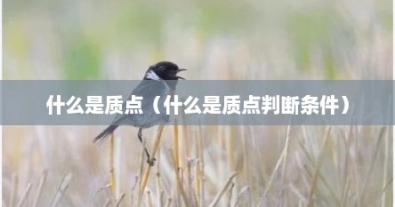 什么是质点（什么是质点判断条件）