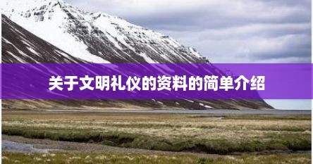 关于文明礼仪的资料的简单介绍