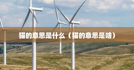 猫的意思是什么（猫的意思是啥）