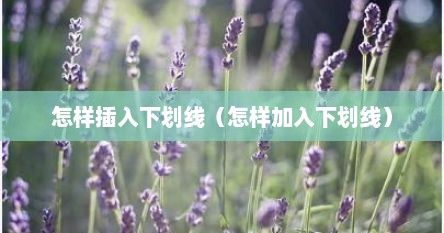 怎样插入下划线（怎样加入下划线）