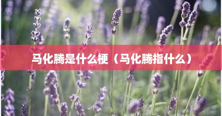 马化腾是什么梗（马化腾指什么）