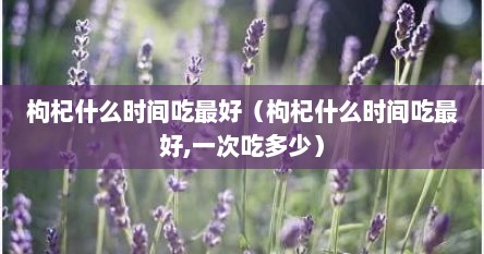 枸杞什么时间吃最好（枸杞什么时间吃最好,一次吃多少）